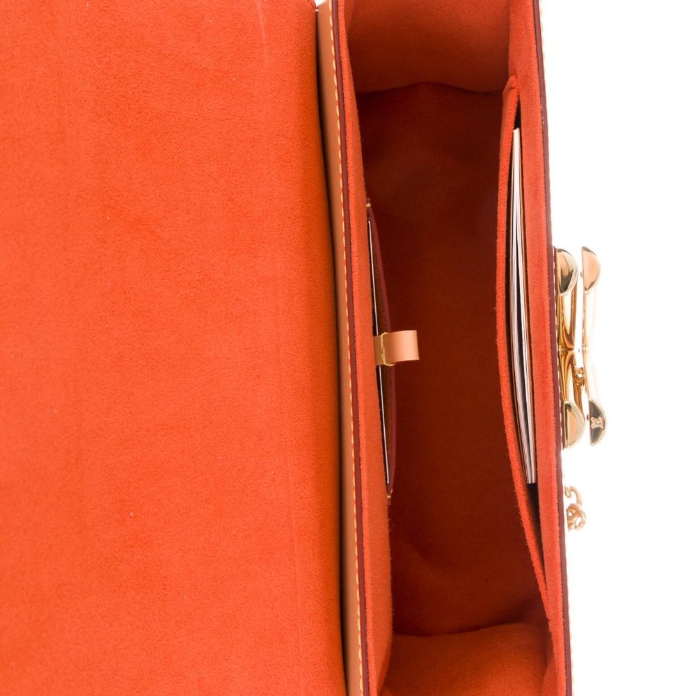 ❌NFS❌Louis Vuitton Catogram Ivory Twist MM bag - Picture 11 of 16